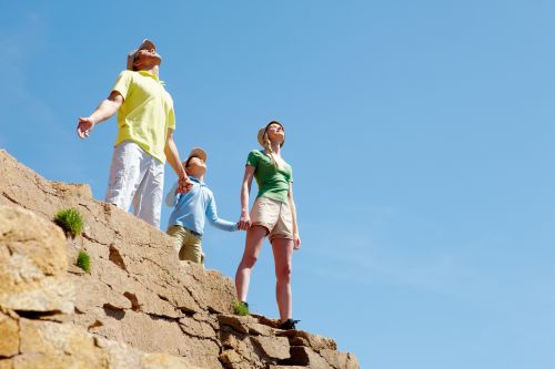 Lifestyle: Family & wellness