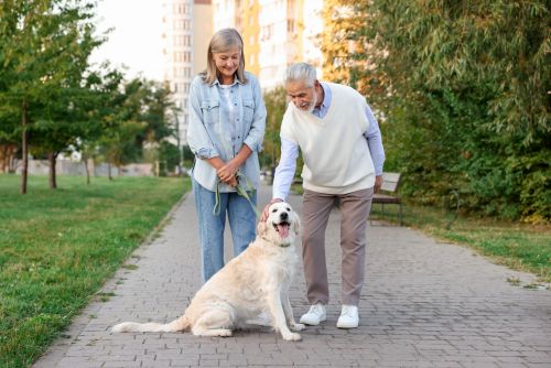 Weekly companionship